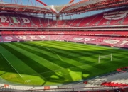 -里昂轻取利物浦，哈兰德扑点救主德甲