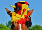 九游娱乐网站-世界网球队轻取德国网球队，穆雷高光表现